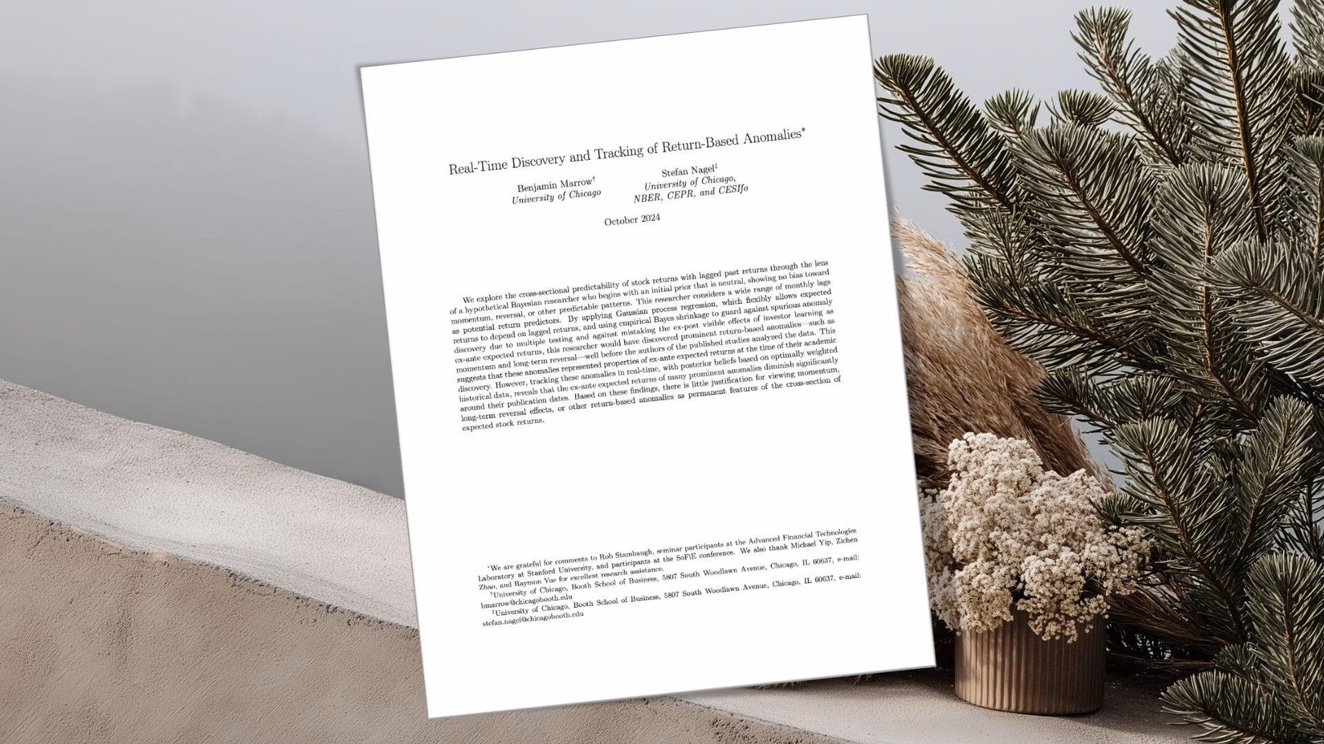 Marrow, B. & Nagel, S., 2024. Real-time discovery and tracking of return-based anomalies.